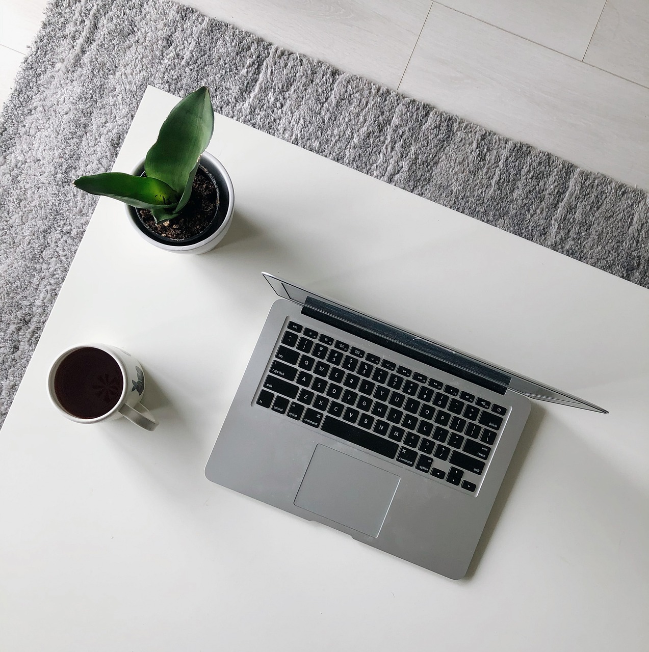 Serviciile cadastrale online: Cum îți poți economisi timp și bani?-picture